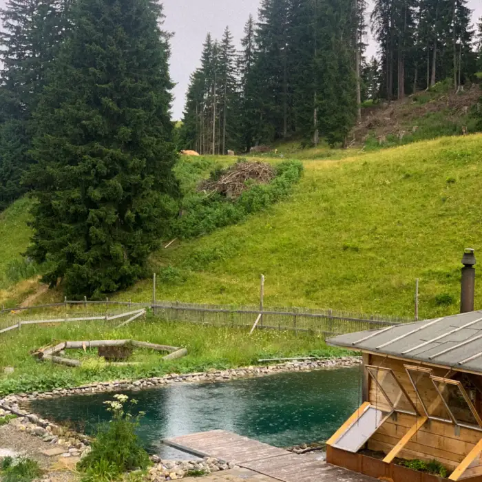 berhotel spaarenmoos schwimmteich und natur