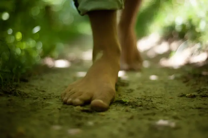 barfuss im wald